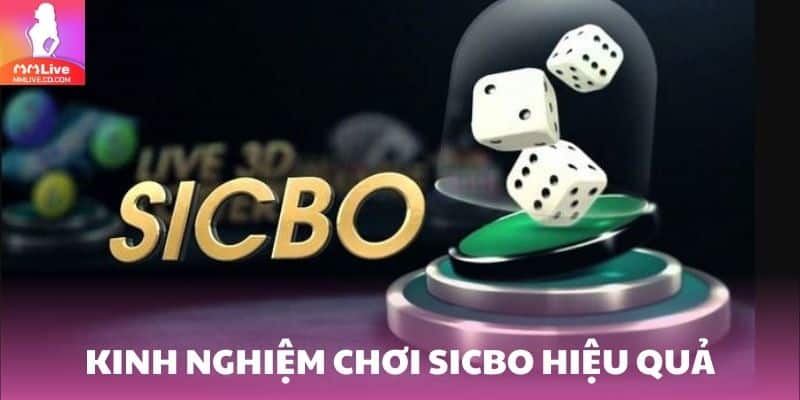 Chiến thuật quản lý vốn và phân tích kết quả giúp tăng tỷ lệ thắng khi chơi