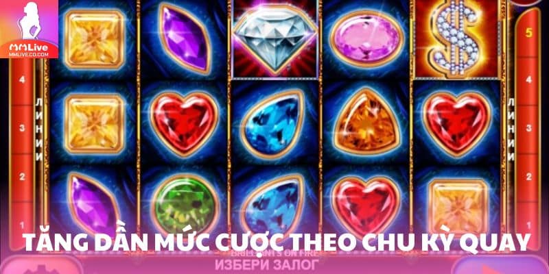 Hãy bắt đầu bằng cược trung bình, sau đó tăng dần 