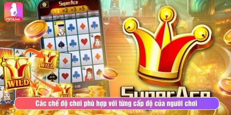 Các chế độ chơi phù hợp với từng cấp độ của người chơi 